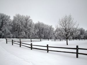 c9-snow fence.jpg